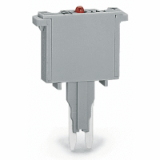 280-850/281-413 - Fuse plug, with soldered miniature fuse, with indicator lamp, LED (red), DC 15 - 30 V, 250 mA FF, 5 mm wide