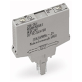 286-364 - Relay module, Nominal input voltage: 24 VDC, 1 make contact, Limiting continuous current: 5 A, Red status indicator, Module width: 10 mm