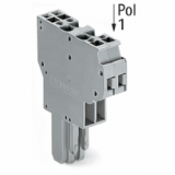 769-122 a 769-135 - Connettore femmina per 2 conduttori, CAGE CLAMP®, 4 mm², Passo pin 5 mm, Pin di codifica