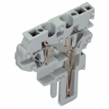 769-505 - Modulo centrale per connettore femmina per 2 conduttori, CAGE CLAMP®, 4 mm², Passo pin 5 mm, 1 polo, Pin di codifica