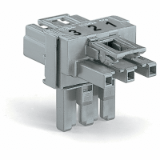 770-967 - T-distribution connector, 3-pole, Cod. B, 1 input, 2 outputs, 2 locking levers